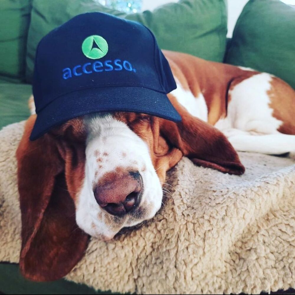 The Pets of accesso are more than cute faces — they’re our unofficial team members. 🐶🐱🦎

From warming our keyboards (whether we want them to or not), to insisting on midday “wellness breaks,” to crashing global team-building calls just to collect their cheese tax — they keep our #WFH life fulfilling and fun.

Today, we’re giving a big round of a-paws to the four-legged (and sometimes winged or scaled) colleagues who truly deserve some appreciation. Happy National Pet Day! 🐾