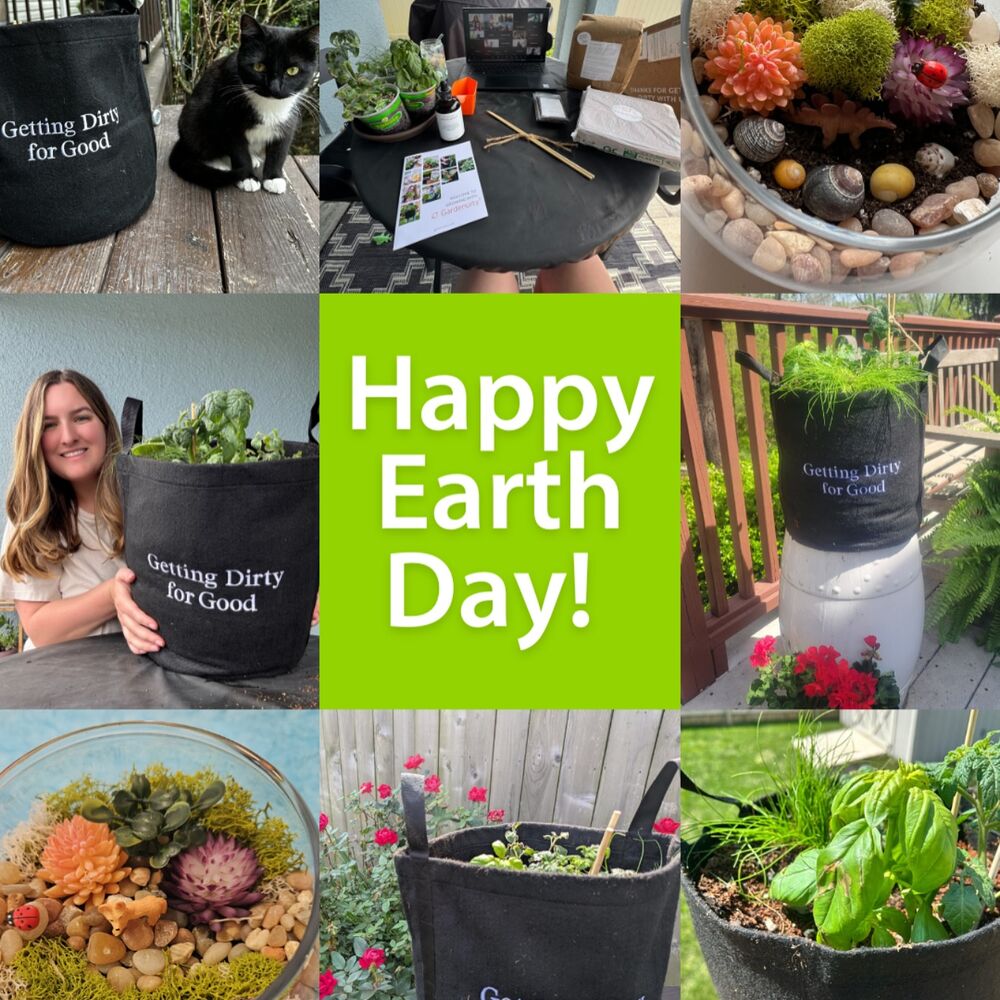 Happy Earth Day from all of us at accesso! 🌱🌍
To celebrate, we held a virtual gardening event where teammates received either a veggie plant and trio of herbs, or materials to build their own terrarium—plus all the tools needed to bring a little green into their homes.
Did you know that even a small home garden can reduce your carbon footprint by cutting down on the transportation and packaging needed to get food to your plate?
By digging into sustainability, we’re reminded that small actions can lead to big change 💚